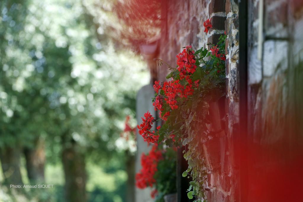 Paturages De La Kys Villa Voeren Eksteriør bilde